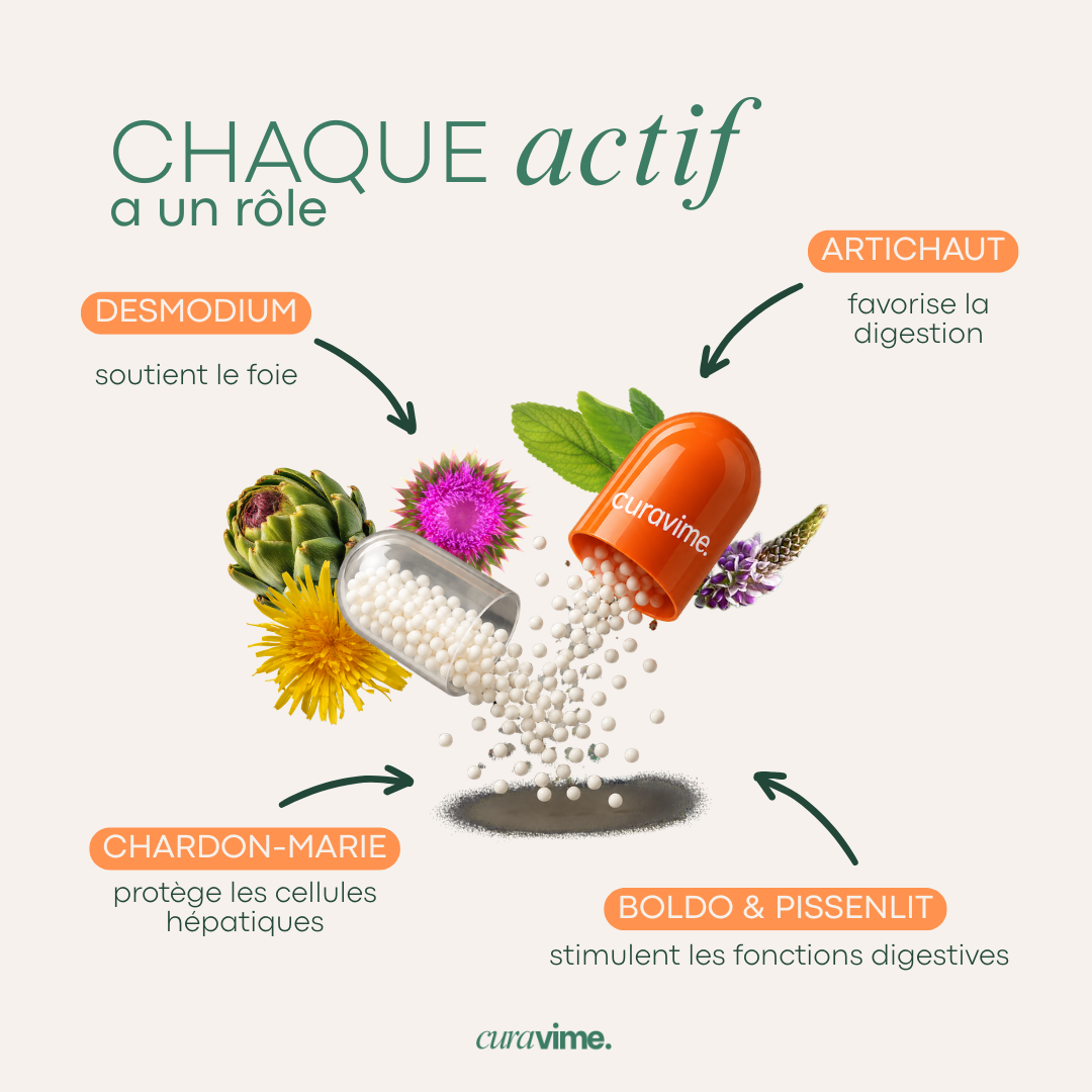 EQUILIA  - Équilibre intérieur & Digestion légère