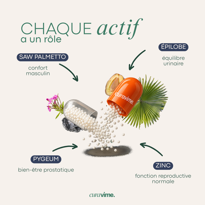 PROSTELIA  - Confort masculin & Équilibre urinaire